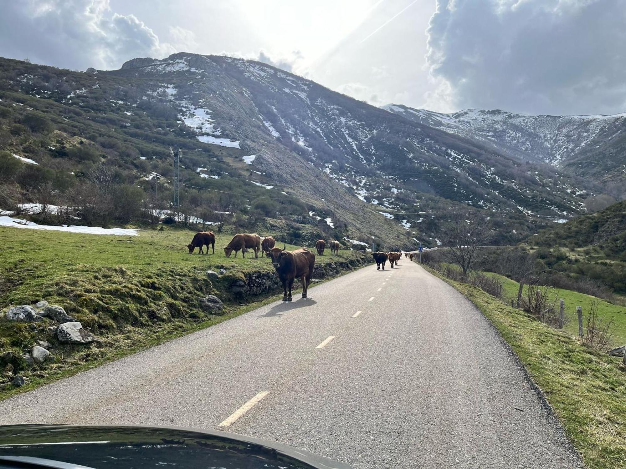 Casas Rurales Cuatro Valles Naredo de Fenar Kültér fotó
