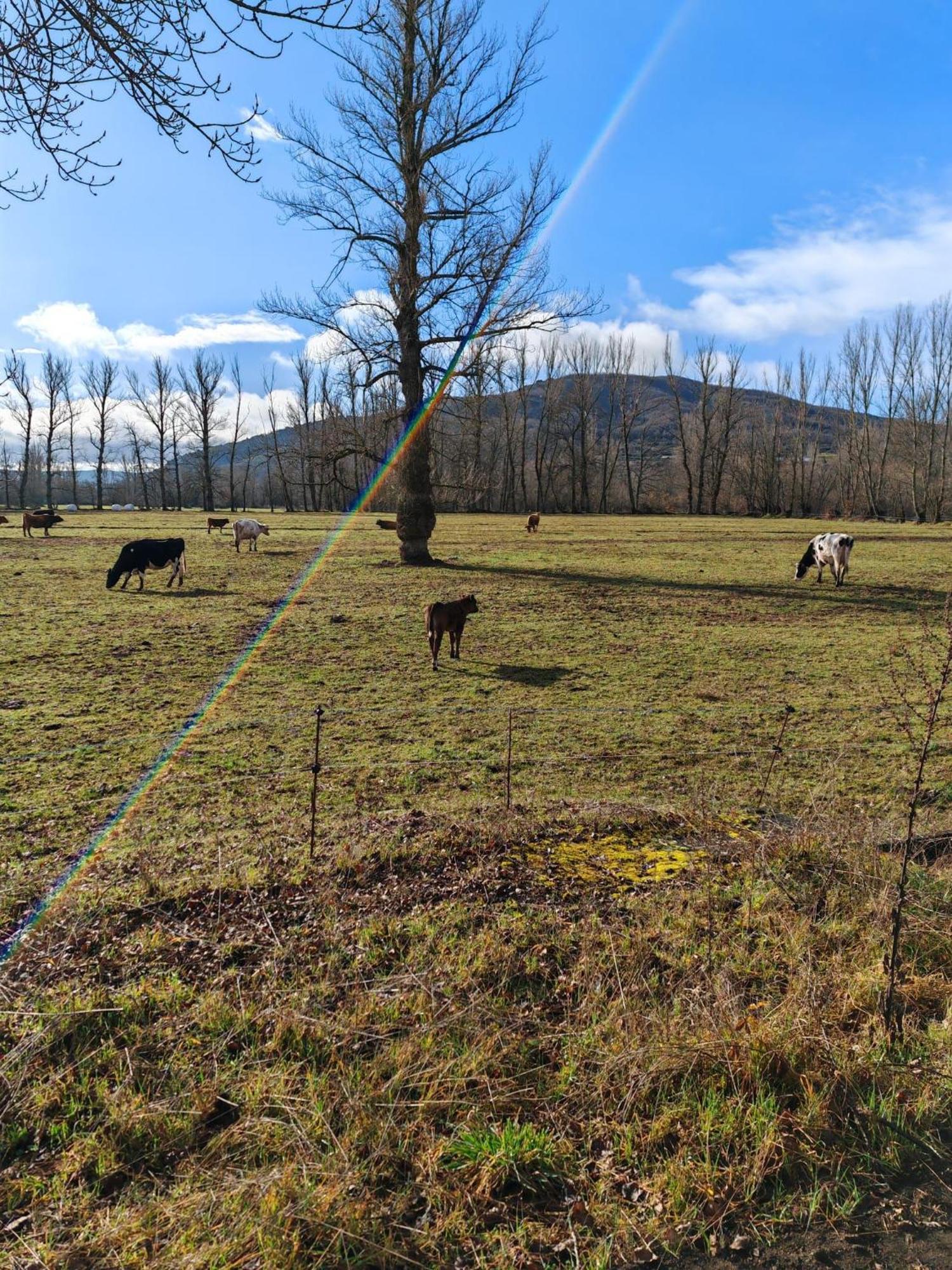 Casas Rurales Cuatro Valles Naredo de Fenar Kültér fotó