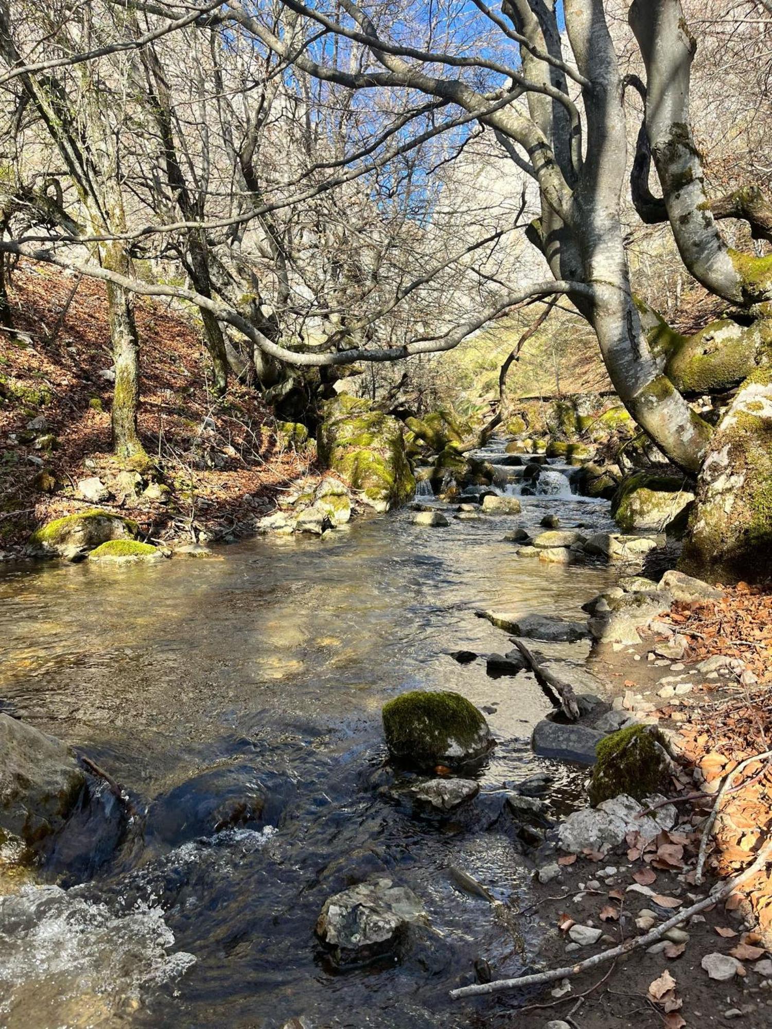 Casas Rurales Cuatro Valles Naredo de Fenar Kültér fotó