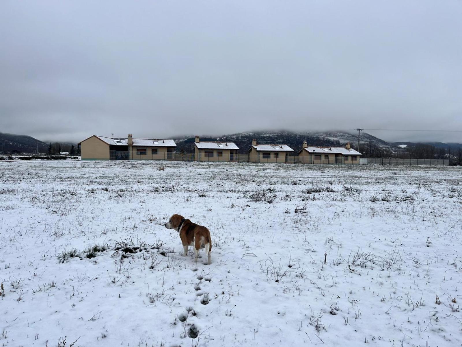 Casas Rurales Cuatro Valles Naredo de Fenar Kültér fotó